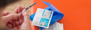 featured allergy article